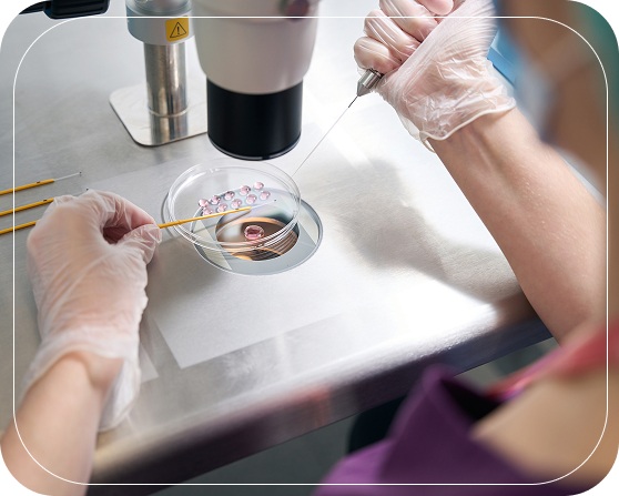 Blastocyst Transfer Treatment in Rewari