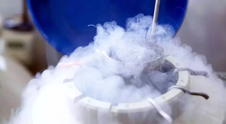Best Egg Freezing Centre in Rewari