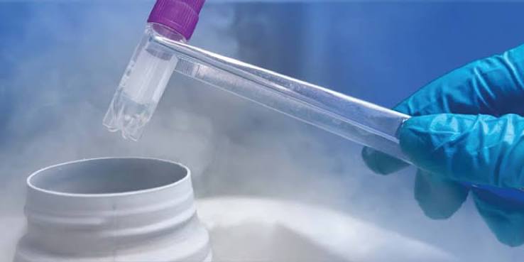 Fertility Preservation Treatment in Rewari
