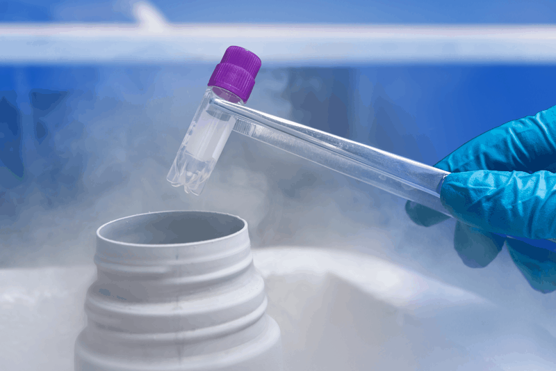 Embryo Freezing Treatment in Rewari