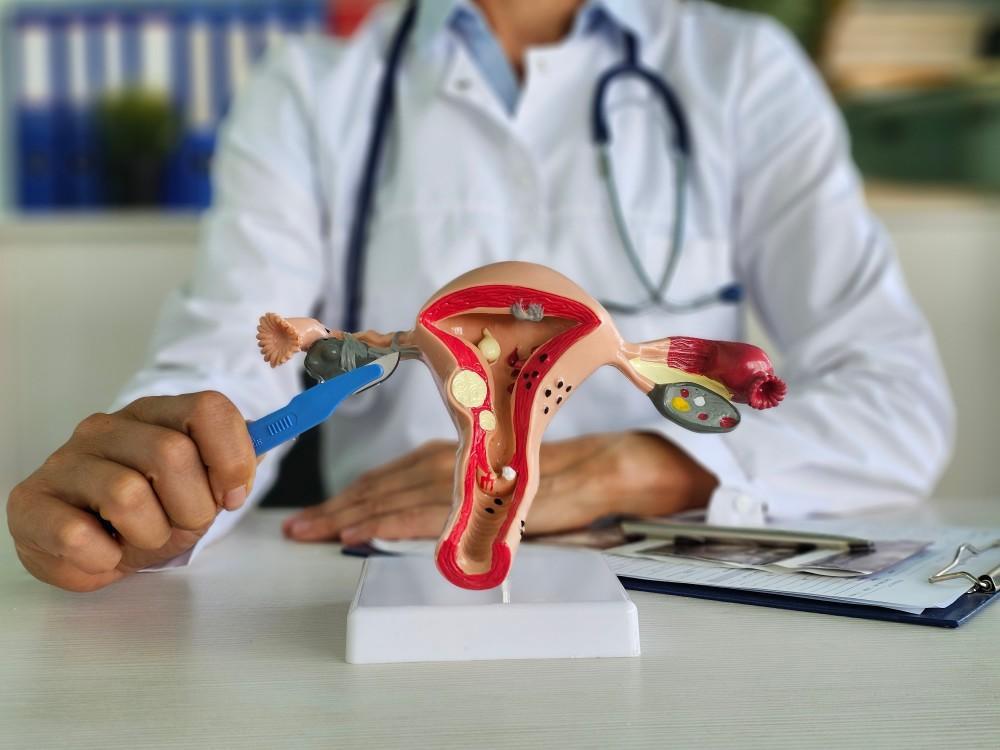 Best Hysteroscopy Treatment in Rewari for Women's Health