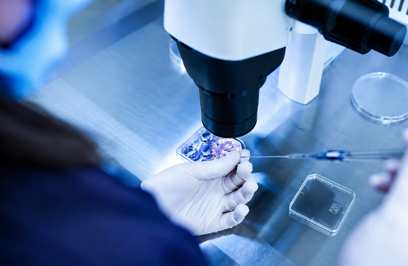 Embryo freezing services in Rewari