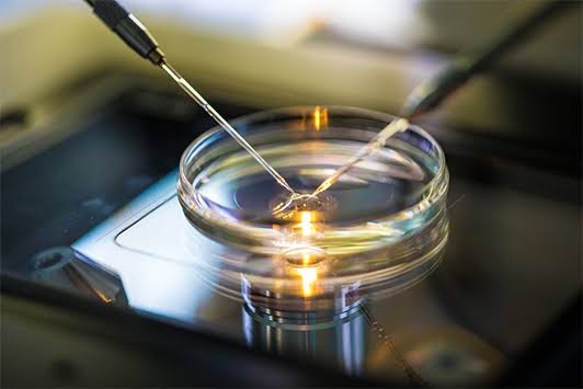 Low Cost IVF Treatment in Rewari